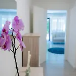 Gelsi *