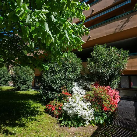 Gelsi * Lecco
