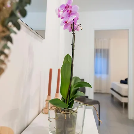 Апартаменты Gelsi Лекко