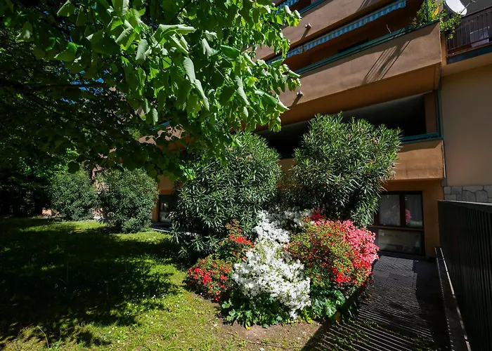 Gelsi * Lecco